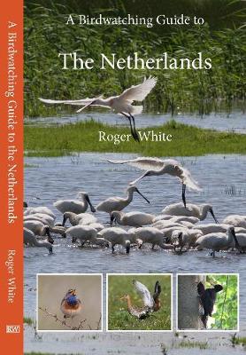 Book cover for A Birdwatching Guide to The Netherlands
