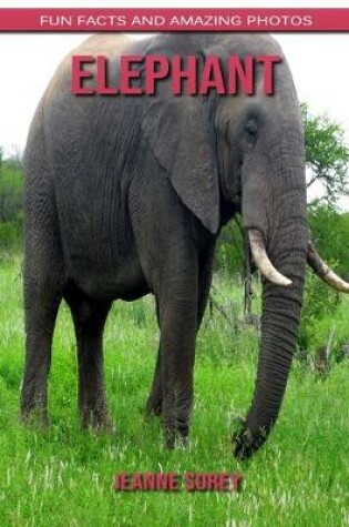 Cover of Elephant