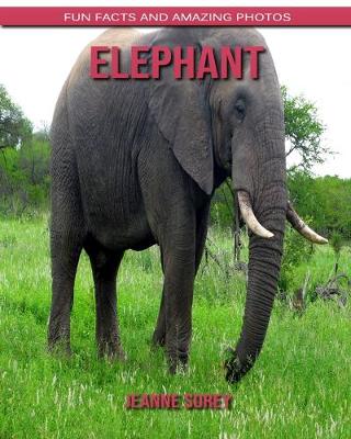 Book cover for Elephant