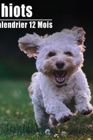 Cover of Calendrier 2021 Chiots