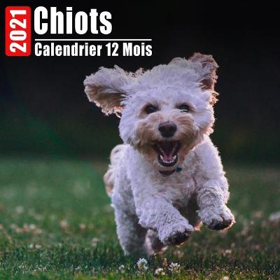 Book cover for Calendrier 2021 Chiots