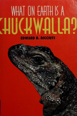 Cover of What on Earth is a Chuckwalla