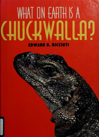 Cover of What on Earth is a Chuckwalla