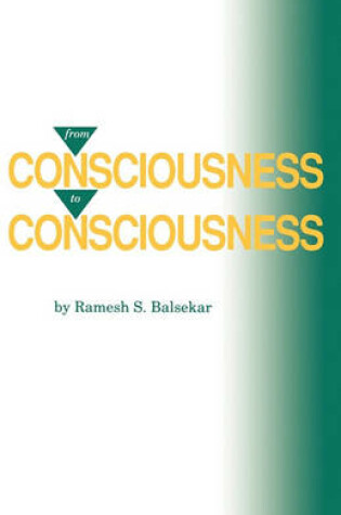 Cover of From Consciousness to Consciousness