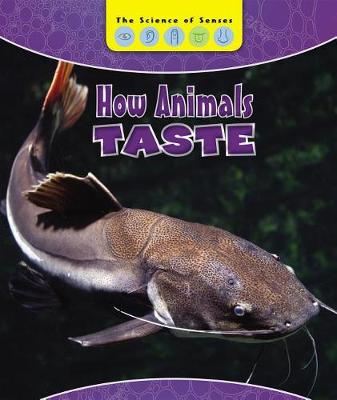 Book cover for How Animals Taste