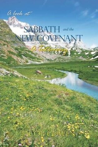 Cover of A Look at Sabbath and the New Covenant