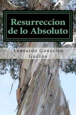 Book cover for Resurreccion de lo Absoluto