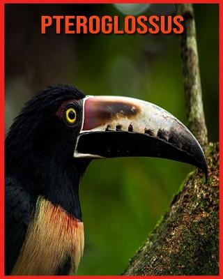 Book cover for Pteroglossus