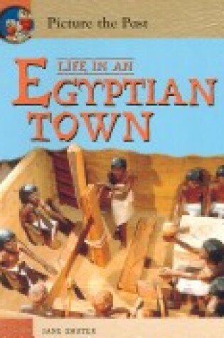 Cover of Life in an Egyptian Town