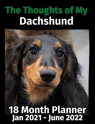 Book cover for The Thoughts of My Dachshund