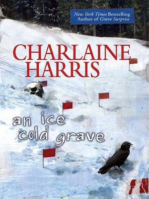 Book cover for An Ice Cold Grave