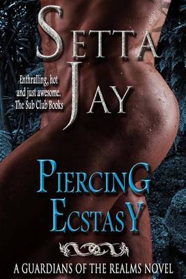 Book cover for Piercing Ecstasy