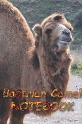 Cover of Bactrian Camel NOTEBOOK