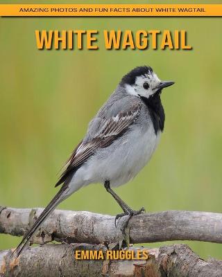 Book cover for White Wagtail