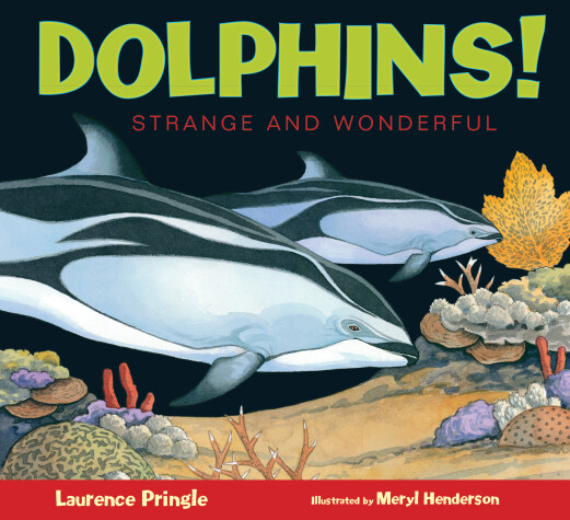 Cover of Dolphins!