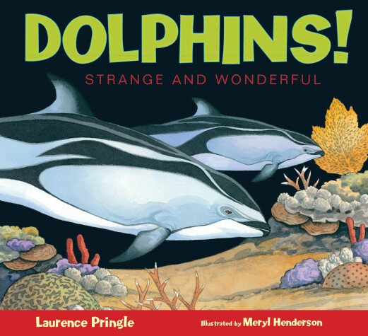 Book cover for Dolphins!