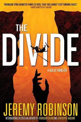 Book cover for The Divide