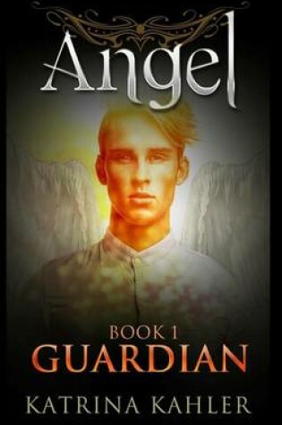 Cover of Angel Book 1 - Guardian