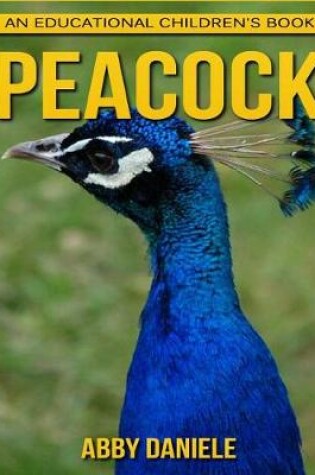 Cover of Peacock! An Educational Children's Book about Peacock with Fun Facts & Photos