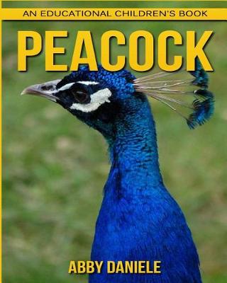 Book cover for Peacock! An Educational Children's Book about Peacock with Fun Facts & Photos