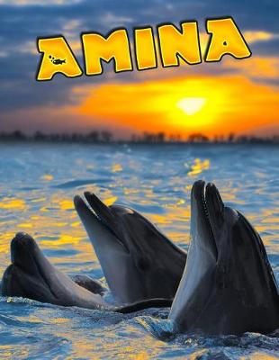 Book cover for Amina