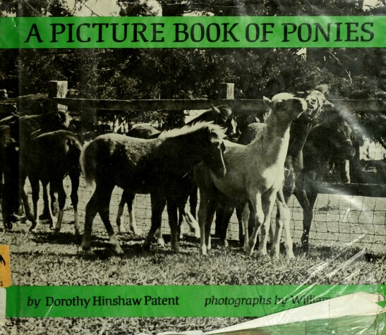 Book cover for A Picture Book of Ponies