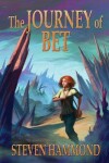 Book cover for The Journey of Bet