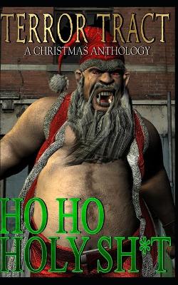 Book cover for Ho Ho Holy Sh*t!