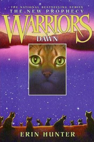 Cover of Dawn