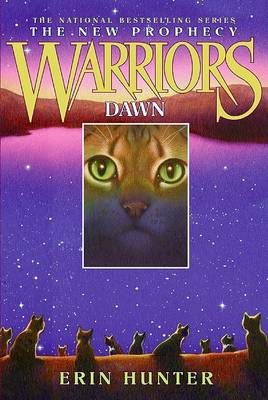 Book cover for Dawn