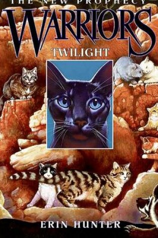 Cover of Twilight