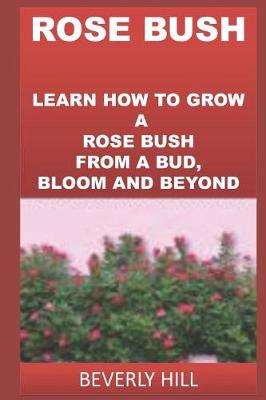 Book cover for Rose Bush