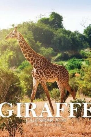 Cover of Giraffe Calendar 2020