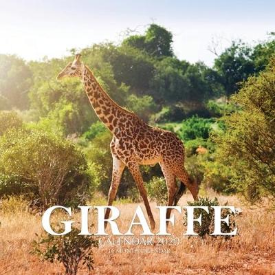 Book cover for Giraffe Calendar 2020