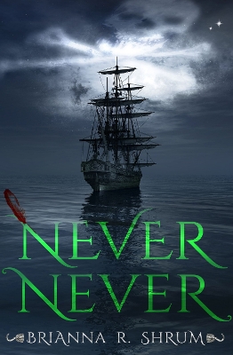 Book cover for Never Never