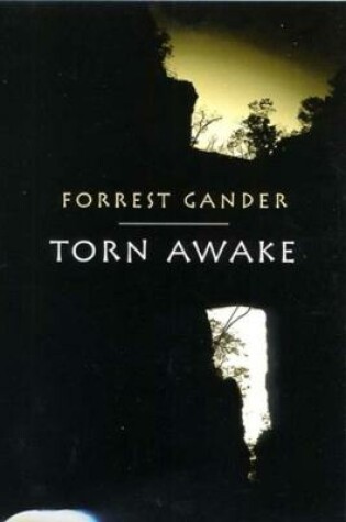 Cover of Torn Awake