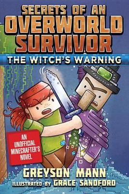 Cover of The Witch's Warning