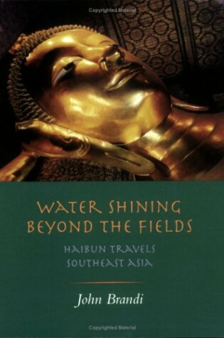 Cover of Water Shining Beyond the Fields