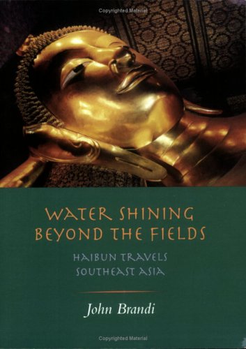 Book cover for Water Shining Beyond the Fields