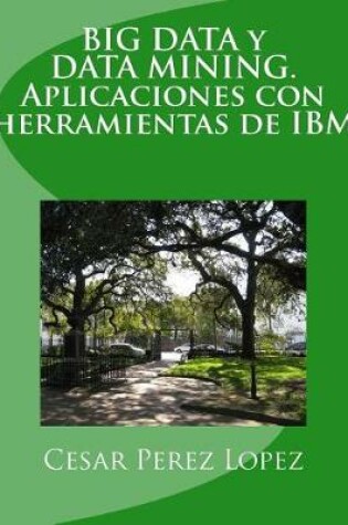 Cover of Big Data Y Data Mining. Aplicaciones Con Herramientas de IBM