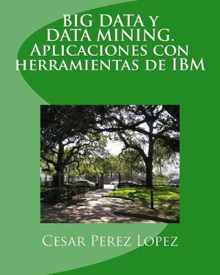 Book cover for Big Data Y Data Mining. Aplicaciones Con Herramientas de IBM