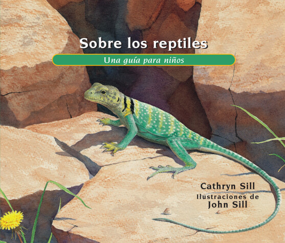 Book cover for Sobre los reptiles