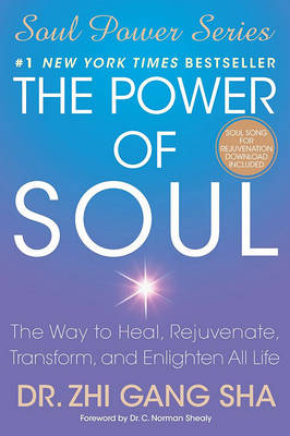 Book cover for The Power of Soul