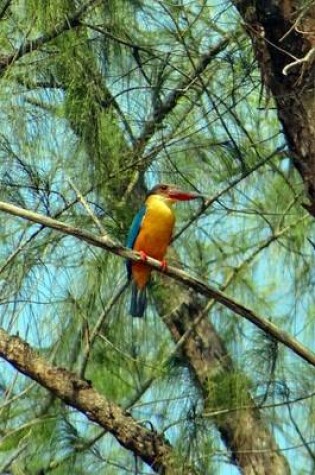 Cover of Stork Billed Kingfisher, Birds of the World