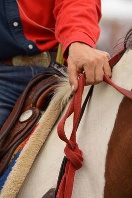 Book cover for Cowboy on a Horse (Old Western)