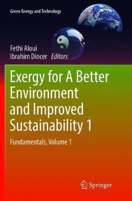 Book cover for Exergy for A Better Environment and Improved Sustainability 1