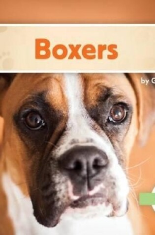 Cover of Boxers