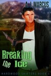 Book cover for Breaking the Ice