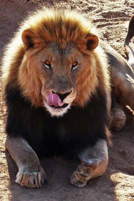 Book cover for Lion Sticking out his Tongue Animal Journal