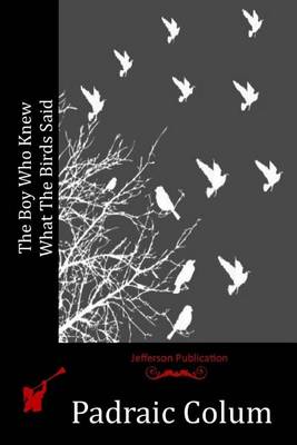 Book cover for The Boy Who Knew What The Birds Said